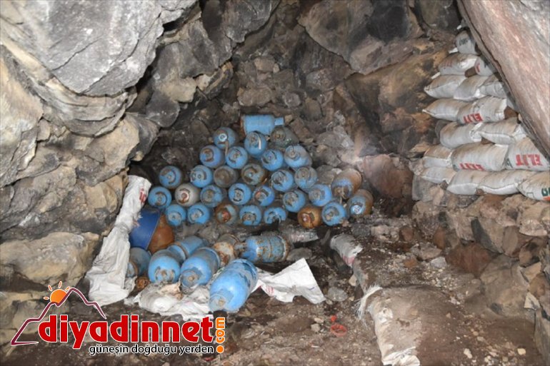 Ağrı yaşam Dağı