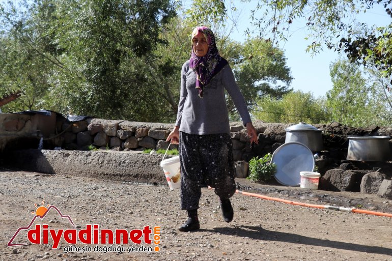 Ağrı'da kazanlar kış sofralarının vazgeçilmezi "tel peynir" için yakıldı