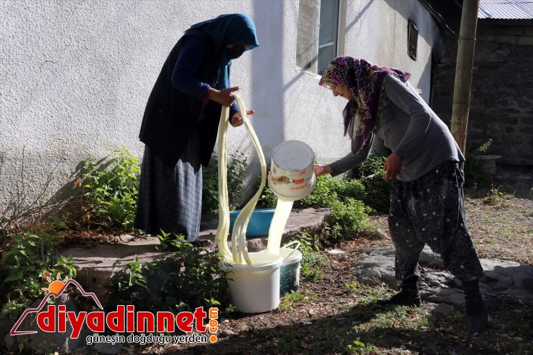 - AĞRI kış vazgeçilmezi tel Kazanlar peynir yakıldı sofralarının için 7