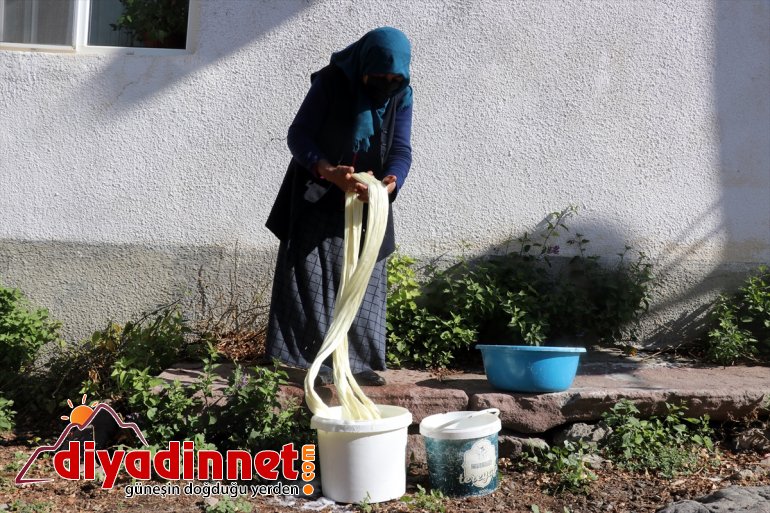 peynir kış yakıldı için Kazanlar vazgeçilmezi - sofralarının AĞRI tel 8