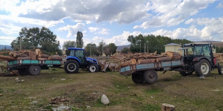 Ardahan'da kaçak ağaç keserken yakalanan 2 zanlı hakkında yasal işlem başlatıldı