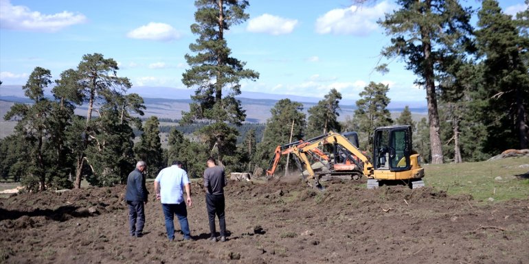 ARDAHAN - Geleceğe nefes olması için sarıçam ormanları gençleştiriliyor1
