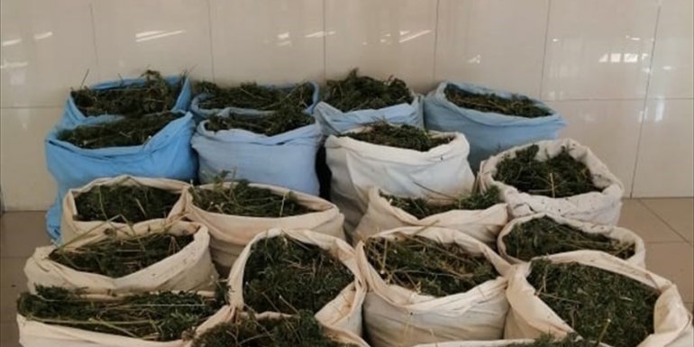 Bingöl'de 289 kilogram esrar ele geçirildi