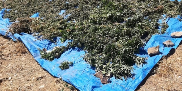 Bingöl'de 78 kilogram esrar ele geçirildi