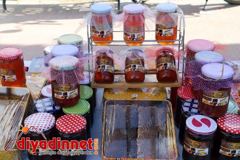 rakımda tanıtıldığı Bal geven balının Festivali üretilen 4. desteğiyle yüksek başladı Ağrı Devlet 7