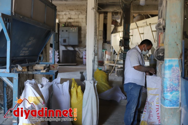 Ermenilerden kalan asırlık değirmen tarihe meydan okuyor4