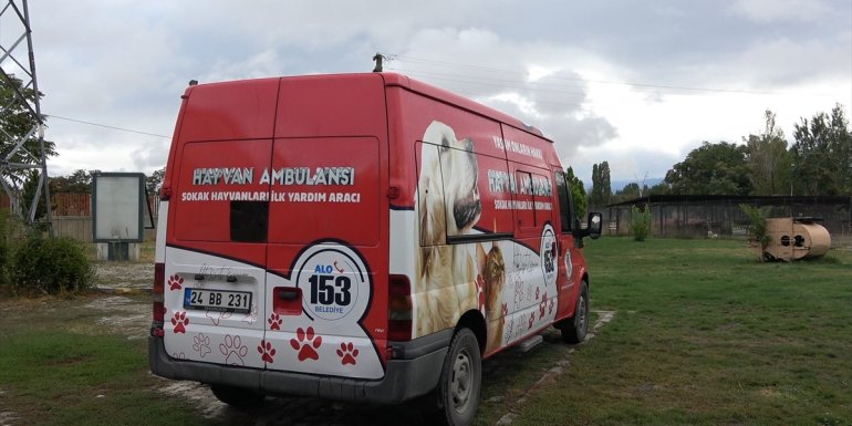 ERZİNCAN - Sokak hayvanları için tam donanımlı hayvan ambulansı hizmete girdi1