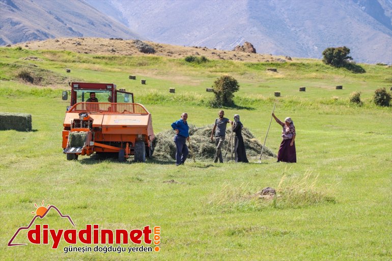 Ağrı kış - çiftçiler hazırlığına eteklerindeki başladı IĞDIR Dağı 1