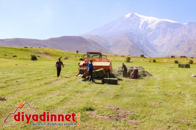 - çiftçiler Dağı kış başladı IĞDIR hazırlığına Ağrı eteklerindeki 2