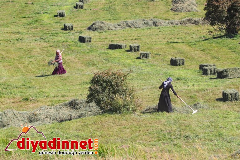 Dağı kış IĞDIR eteklerindeki Ağrı başladı hazırlığına - çiftçiler 11