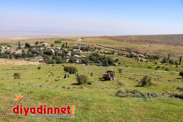 kış çiftçiler hazırlığına eteklerindeki Dağı IĞDIR - başladı Ağrı 12