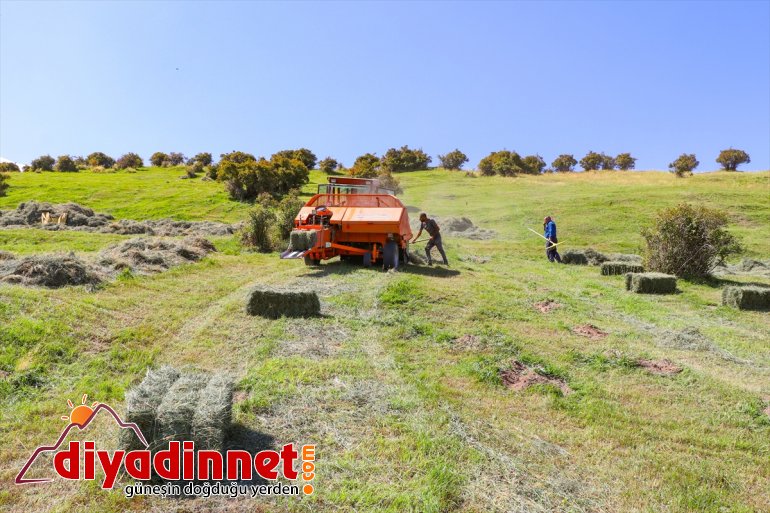 başladı IĞDIR eteklerindeki çiftçiler Ağrı hazırlığına - kış Dağı 15