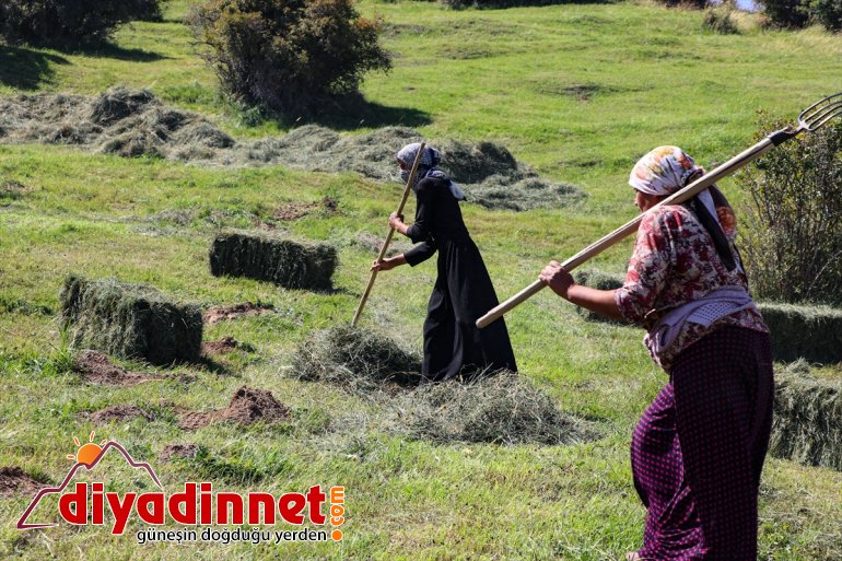 kış çiftçiler eteklerindeki başladı Dağı hazırlığına IĞDIR Ağrı - 16
