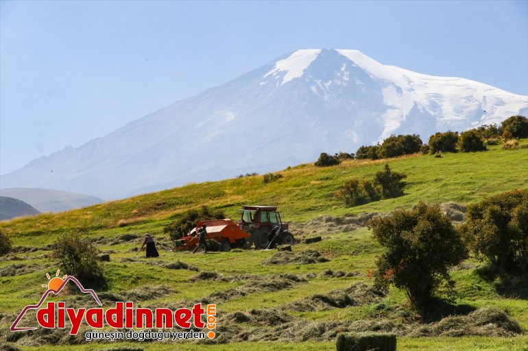 - Ağrı çiftçiler IĞDIR kış Dağı başladı eteklerindeki hazırlığına 17