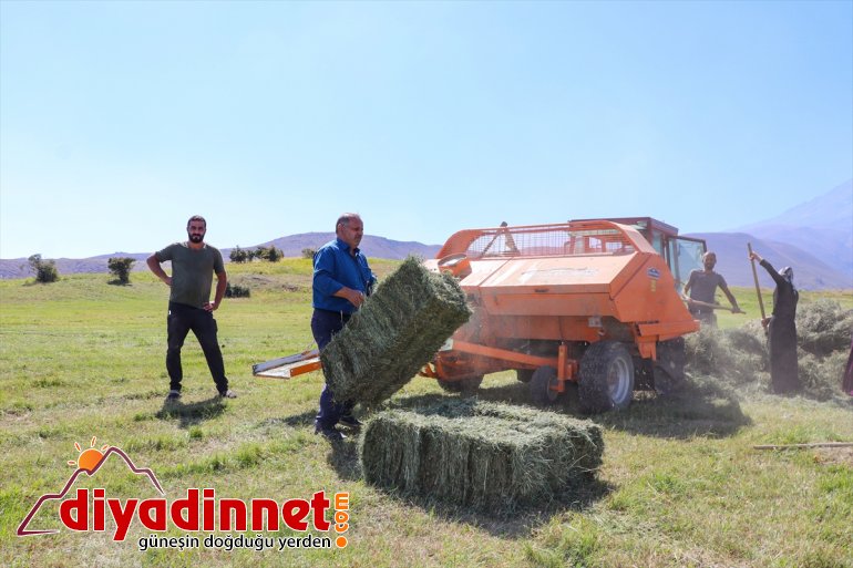 IĞDIR Dağı başladı - çiftçiler eteklerindeki hazırlığına kış Ağrı 3