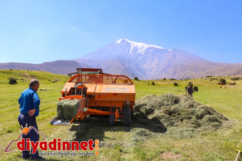 Dağı Ağrı çiftçiler - kış IĞDIR eteklerindeki hazırlığına başladı 6