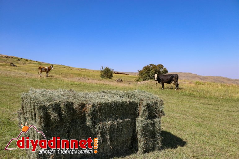 kış çiftçiler hazırlığına eteklerindeki Ağrı IĞDIR Dağı başladı - 9