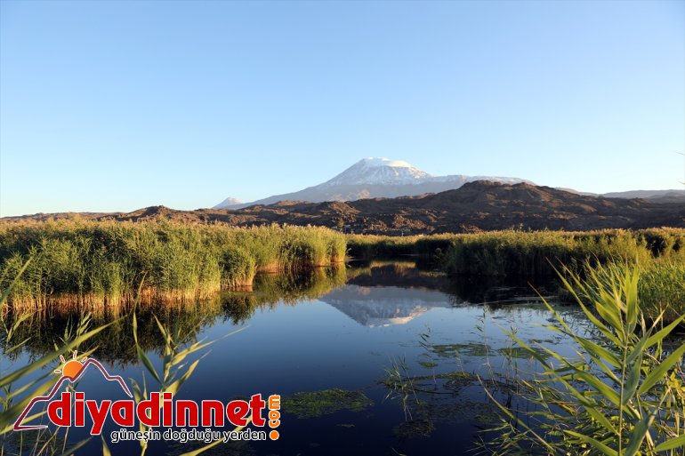 karla kaplandı - yeniden zirvesi Ağrı IĞDIR Dağı