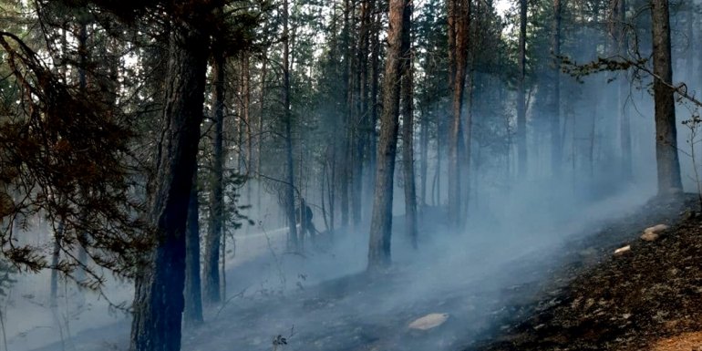 Kars'ta çıkan orman yangınında 1 hektar alan zarar gördü