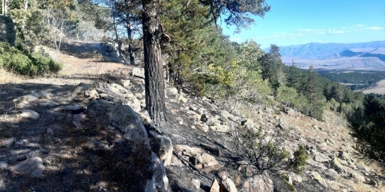 Kars'ta çıkan orman yangınında 1 hektarlık alan zarar gördü