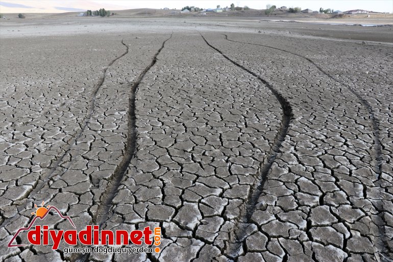 tarımın vurdu hayat kuşların Barajı