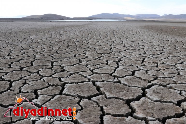 kuşların Patnos hayat Barajı