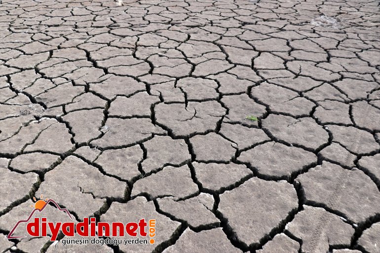 da Kuraklık hayat Barajı