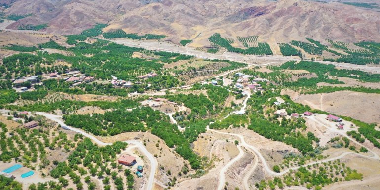 Malatya'da Akçadağ Taşevler Barajı sulamasıyla 8 bin dekar tarım alanı daha suya kavuşacak