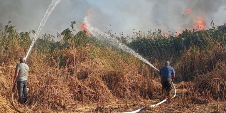 Tatvan'da sazlık alanda çıkan yangın itfaiye ekiplerince söndürüldü