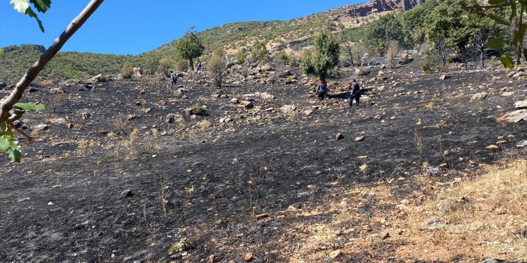 Tunceli'de otluk alanda çıkan yangın kontrol altına alındı