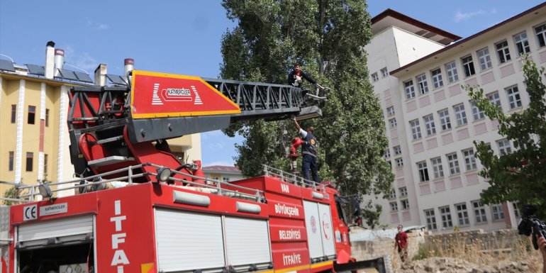 Ağaçta mahsur kalan kediyi itfaiye kurtardı