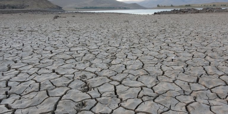 Van'da artan balık ölümleri inceleniyor
