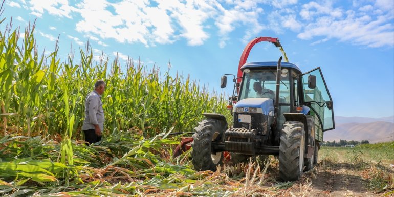 Van'da devlet destekli yetiştirilen silajlık mısırın hasadına başlandı