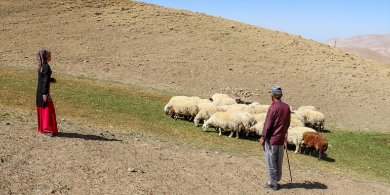 İŞKUR'un desteğiyle hayvancılığa başlayan engellilerden aile bütçesine katkı