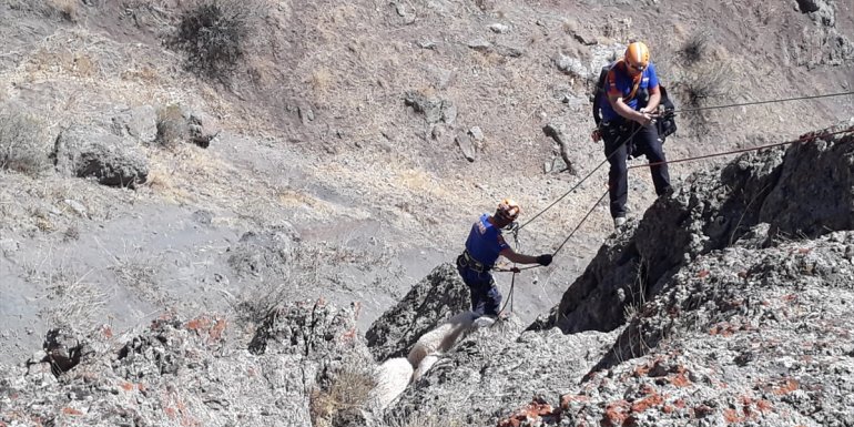Van'da kayalıklarda mahsur kalan koyunlar kurtarıldı