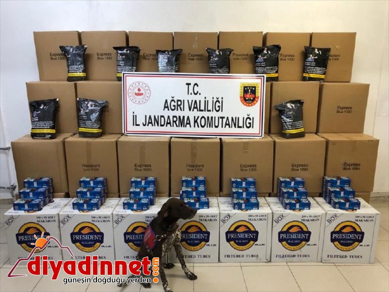 Bir geçirildi kilo 1 kaçak ton AĞRI evde tütün ele - 630 kıyılmış 2
