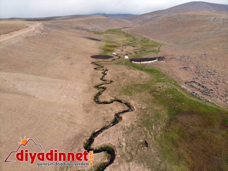 Ağrı'nın volkanik platolarındaki mendereslerde sonbahar güzelliği