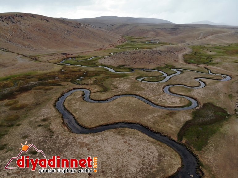 mendereslerde Ağrı