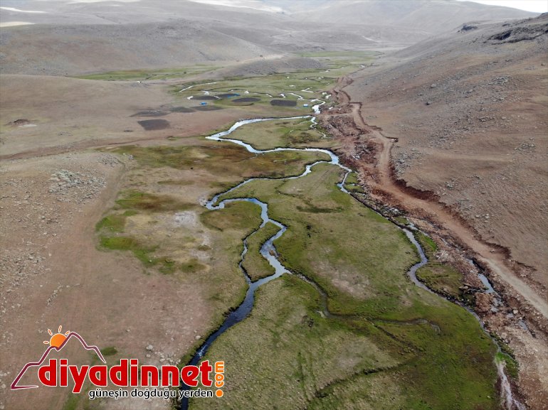 platolarındaki Ağrı