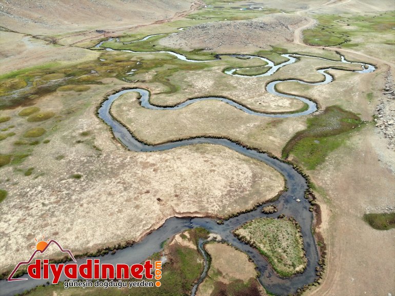 platolarındaki sonbahar volkanik mendereslerde güzelliği Ağrı