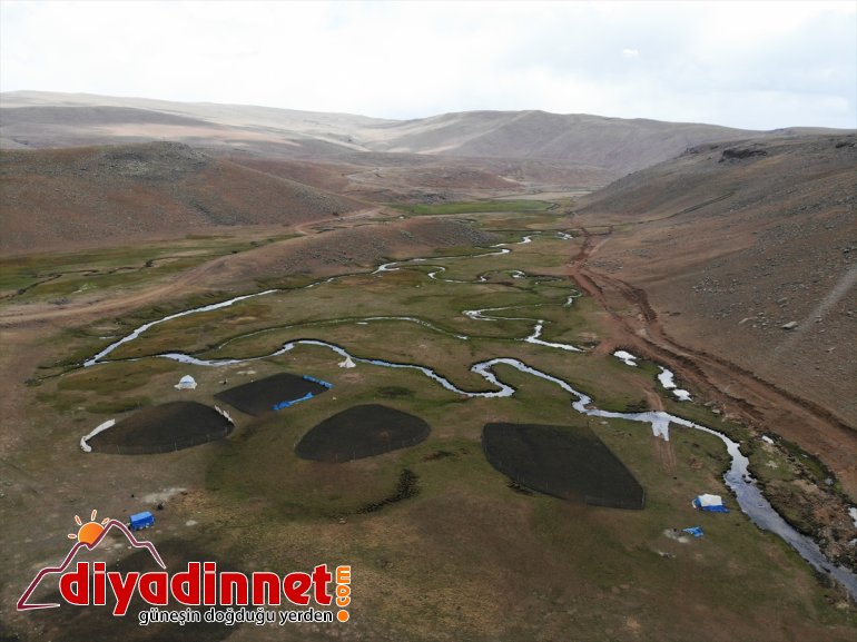 volkanik sonbahar güzelliği Ağrı