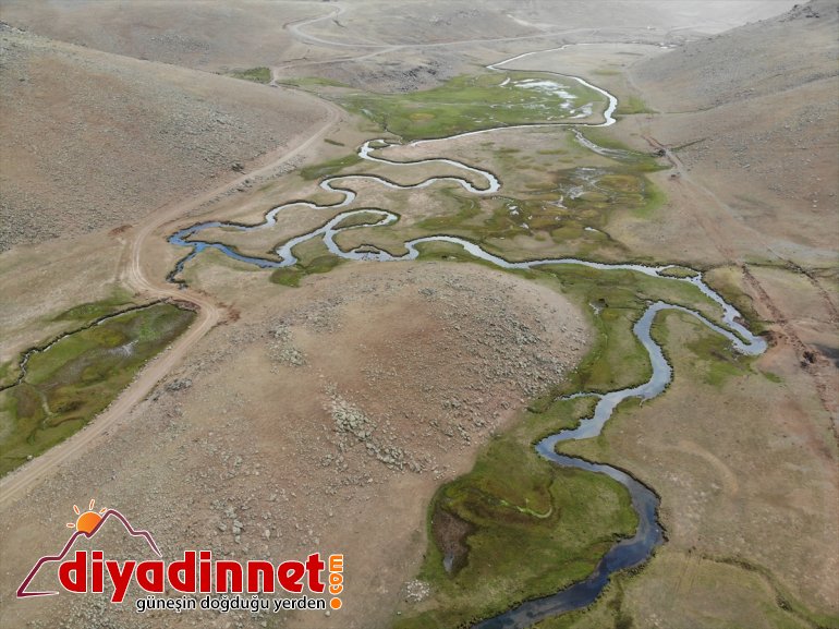 sonbahar mendereslerde Ağrı