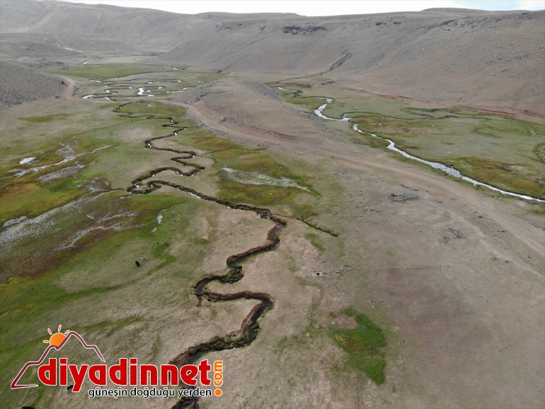 mendereslerde güzelliği volkanik Ağrı