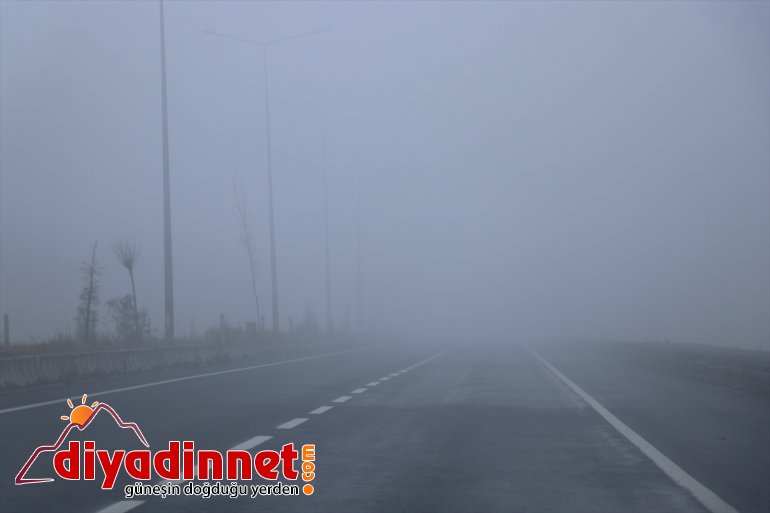 Ağrı ve Kars'ta sis etkili oldu