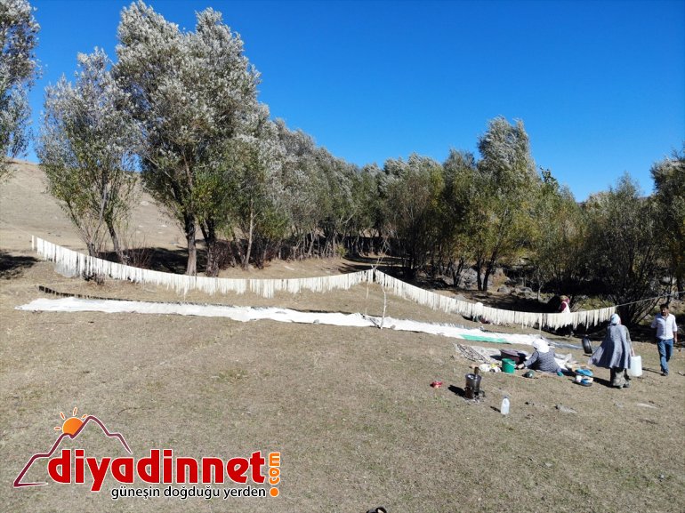 hazırlıyor güneşte Ağrılı erişteleri kadınlar ateşte kurutup kavurdukları kışa 11