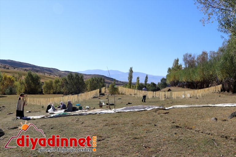 ateşte hazırlıyor erişteleri güneşte kadınlar kurutup Ağrılı kavurdukları kışa 4