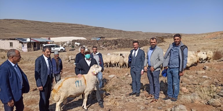 Akçadağ'da küçükbaş hayvan yetiştiricileri için sondaj çalışması yapılacak