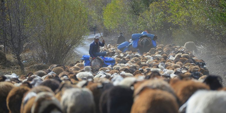 Bingöl sonbahar renklerine büründü