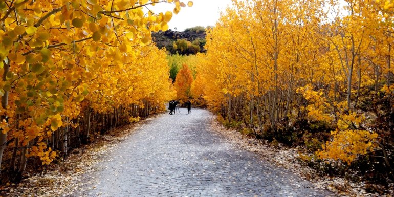 Nemrut Krater Gölü sonbahar renklerini görmek isteyenlerin akınına uğruyor