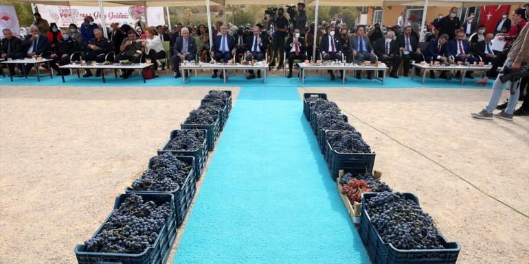 Elazığ'da 15. Geleneksel Orcik ve Bağ Bozumu Festivali yapıldı